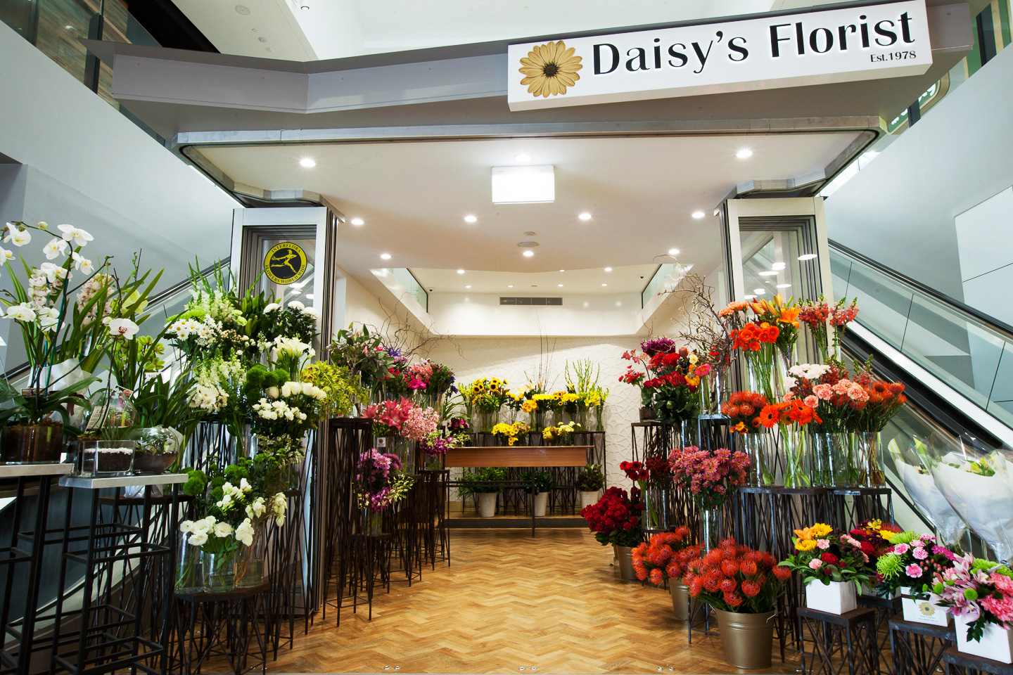 Daisy's Florist Toowong Village